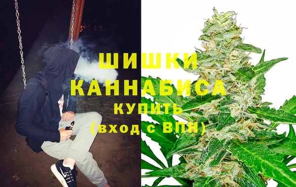 хмурый Дмитриев