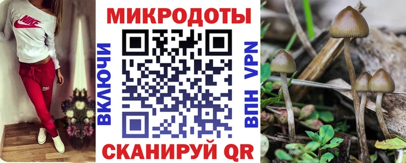 Купить где  Котельниково  Псилоцибиновые грибы прущие грибы 