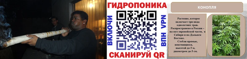 Купить где  Котельниково  Шишки марихуана конопля 